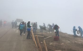 Gran jornada de reforestación en el Mirador de San Benito de Lomas de Carabayllo